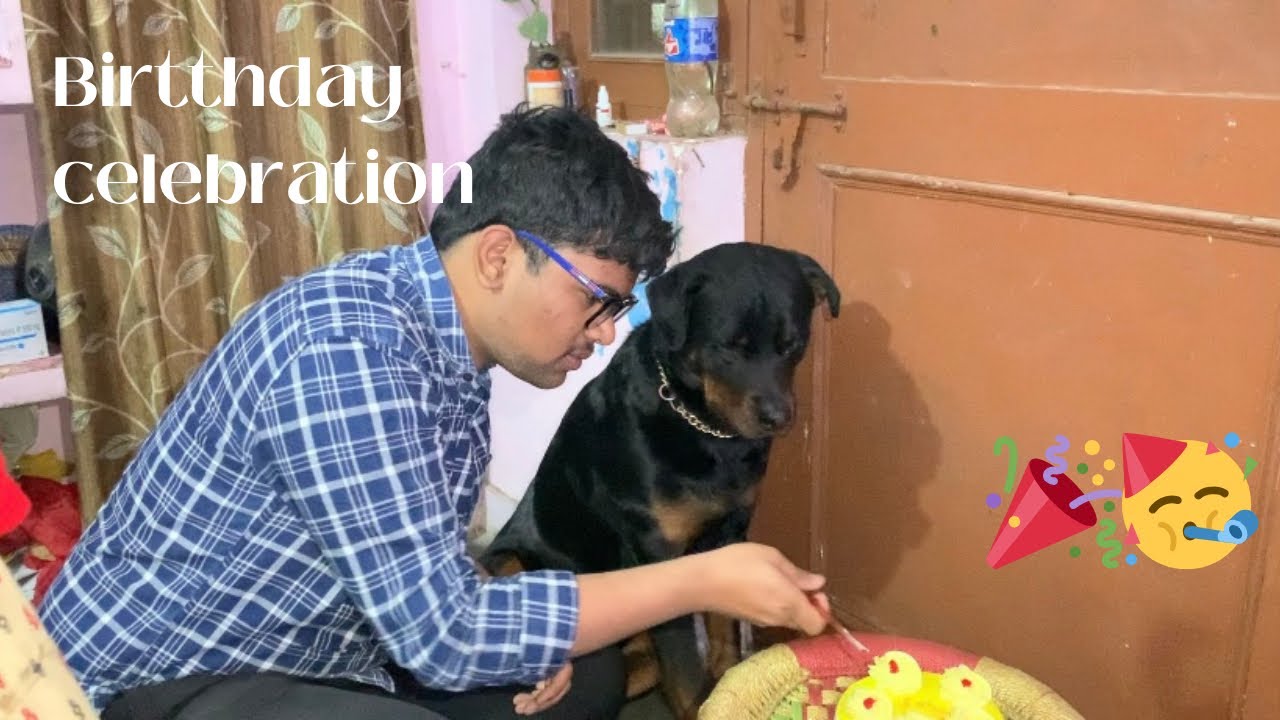 Bruno birthday celebration 🥳// bhumi ki daat bhi pad gyi 😂😂