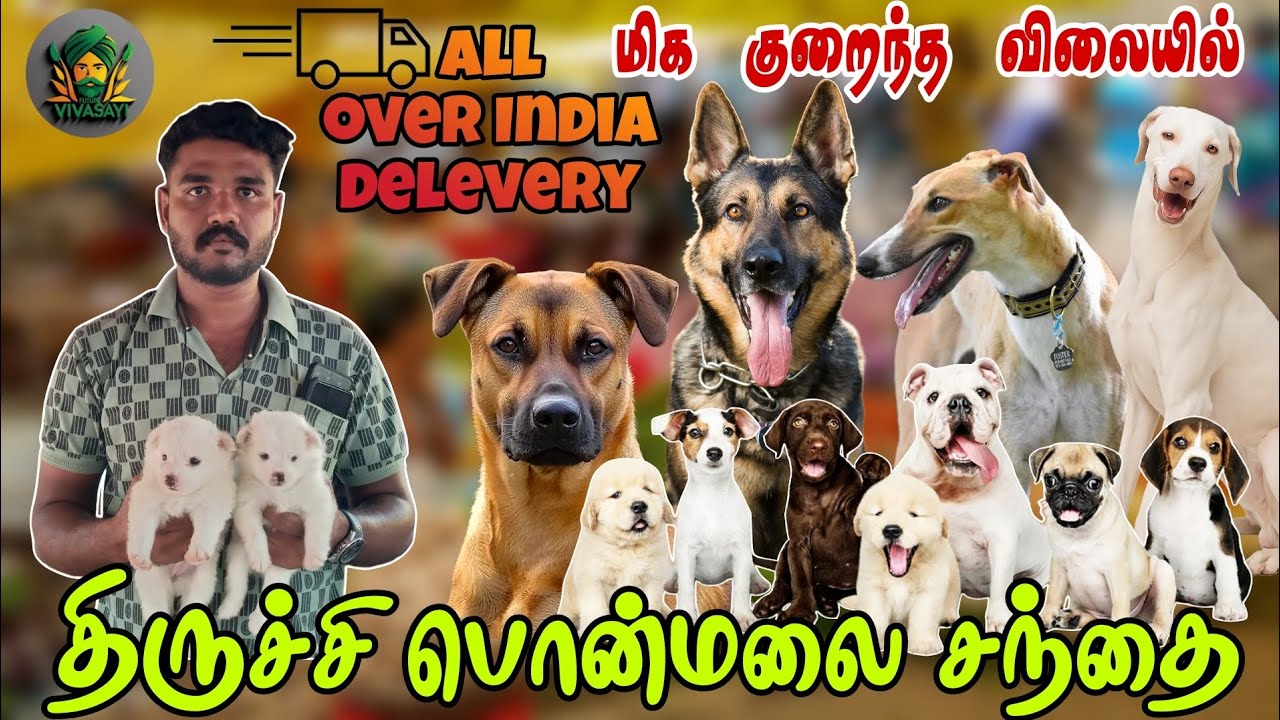 திருச்சி பொன்மலை சந்தை | future vivasayi | sunday santhai...