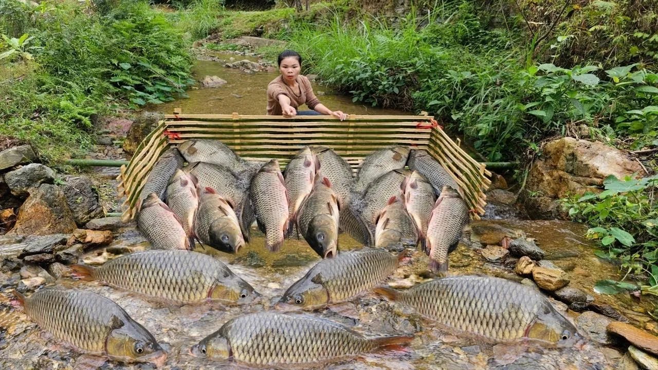 Full video of Ana's 31 day fishing trip in a natural stream. And caught nearly 60 kg of fish to sell