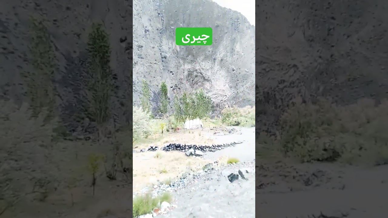Cherry🍒🍒🍒season in gilgit Baltistan Pakistan #youtubeshorts #youtubeshortsfeed #ytshortfeed #ytshort