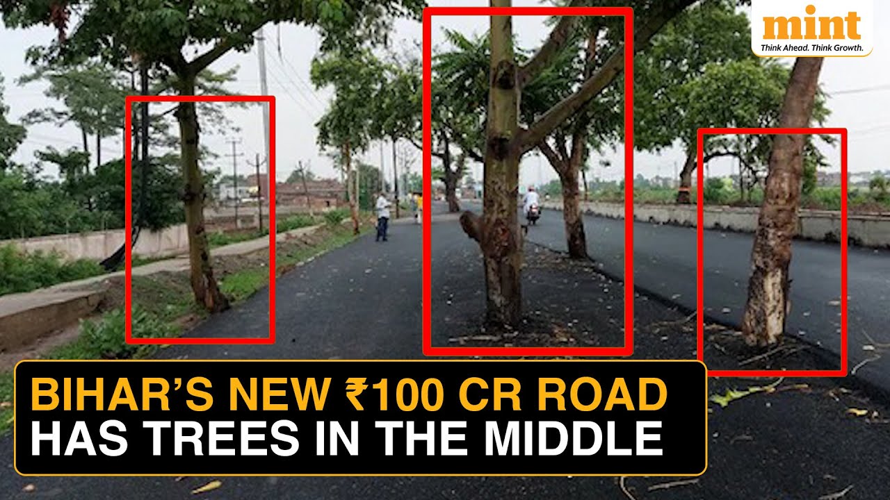 Bihar&rsquo;s Bizarre Road: Forest Dept. Refuses Tree Felling, Contractor Goes Ahead With Road Widening