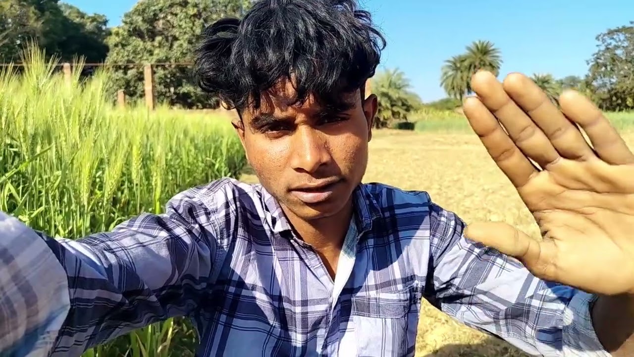 Aaj khet ko ptana hai😂 gehun pura sukh gya hai #trending #vlog @Bachablog100k
