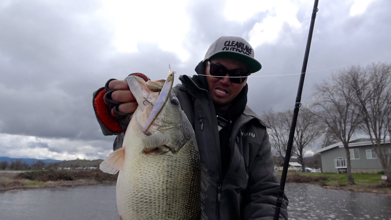 Alex Tran Who Runs A Fishing Guide Service On Clear Lake [ApexGuideService] @OptimumBaits