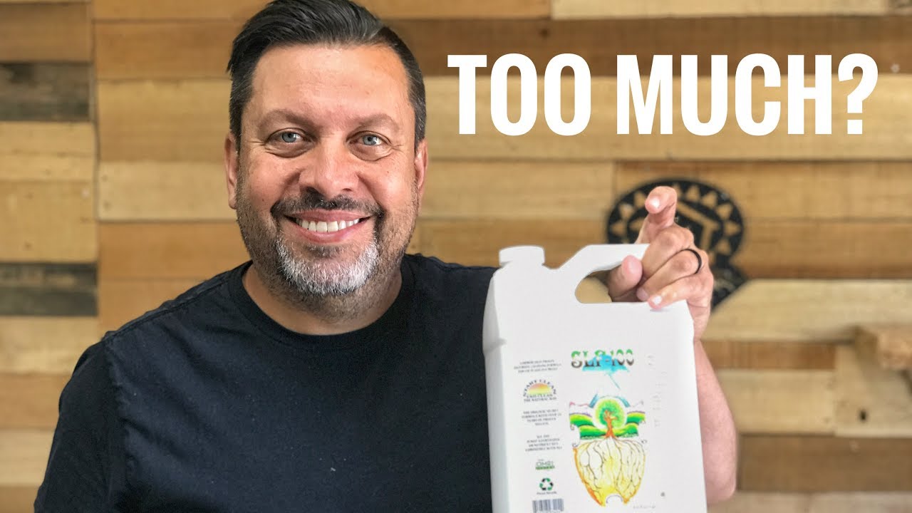 Can you use too much SLF-100 in your grow? | OCGFAM504
