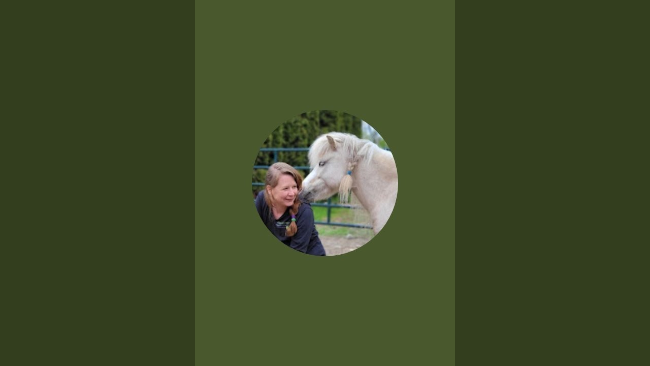 Handwalking your horse as a foundation