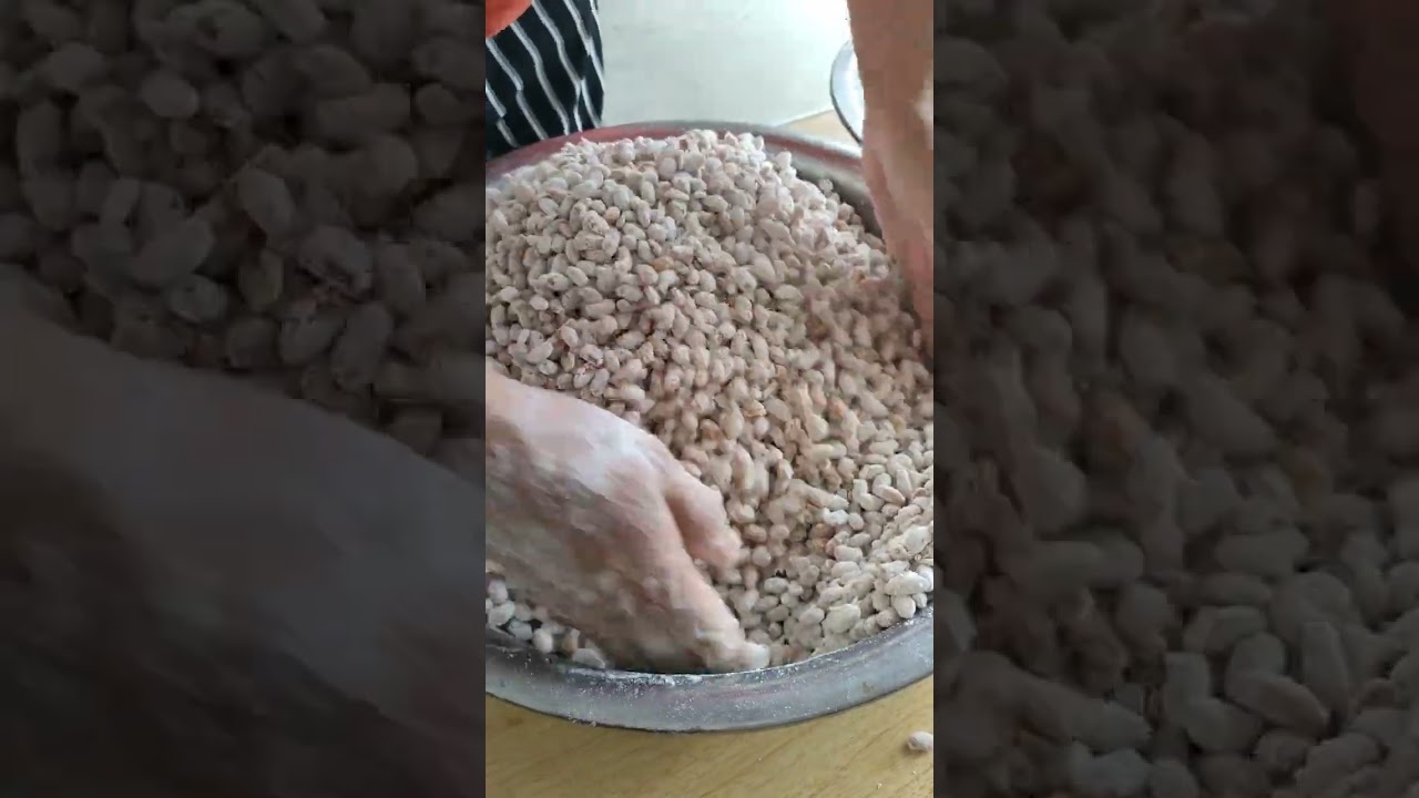 好吃的醬豆離不開捂好的黴黃豆，有很多朋友不會黴黃豆，今天就把方法分享給大家，黴黃豆可以做西瓜醬黃豆醬辣椒醬等等  #農村生活 #家常菜 #農村美食