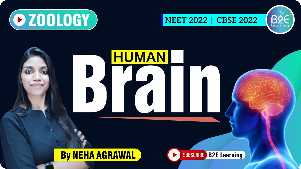 Neural Control & Coordination I NEET 2026 I NEET 2027 I CBSE 12th BOARDS I NEET BIOLOGY I NCERT✌️