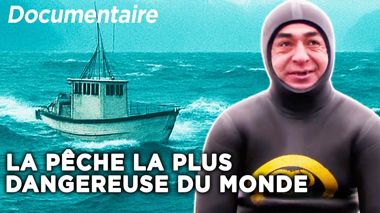 La pêche la plus dangereuse du monde : Patagonie vs île Stewart - Documentaire complet