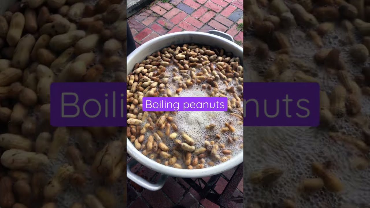 How to Boil Peanuts