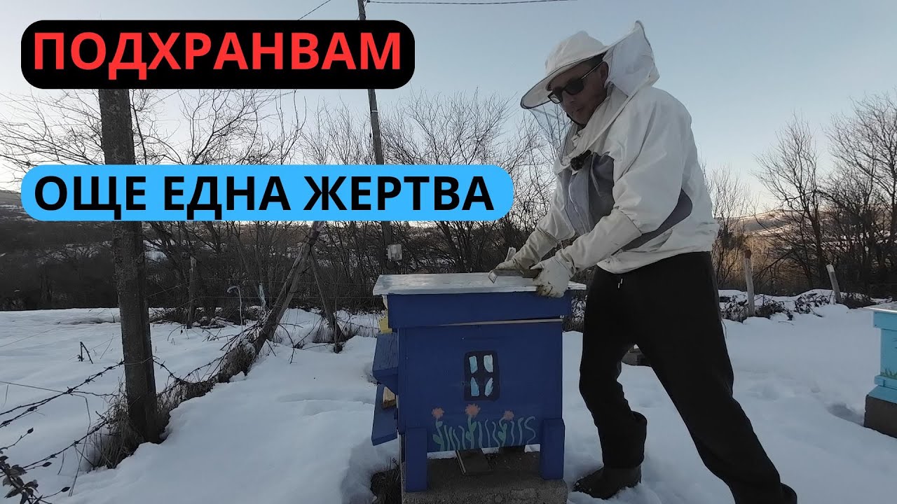 ПОДХРАНВАМ АКО Е НУЖНО