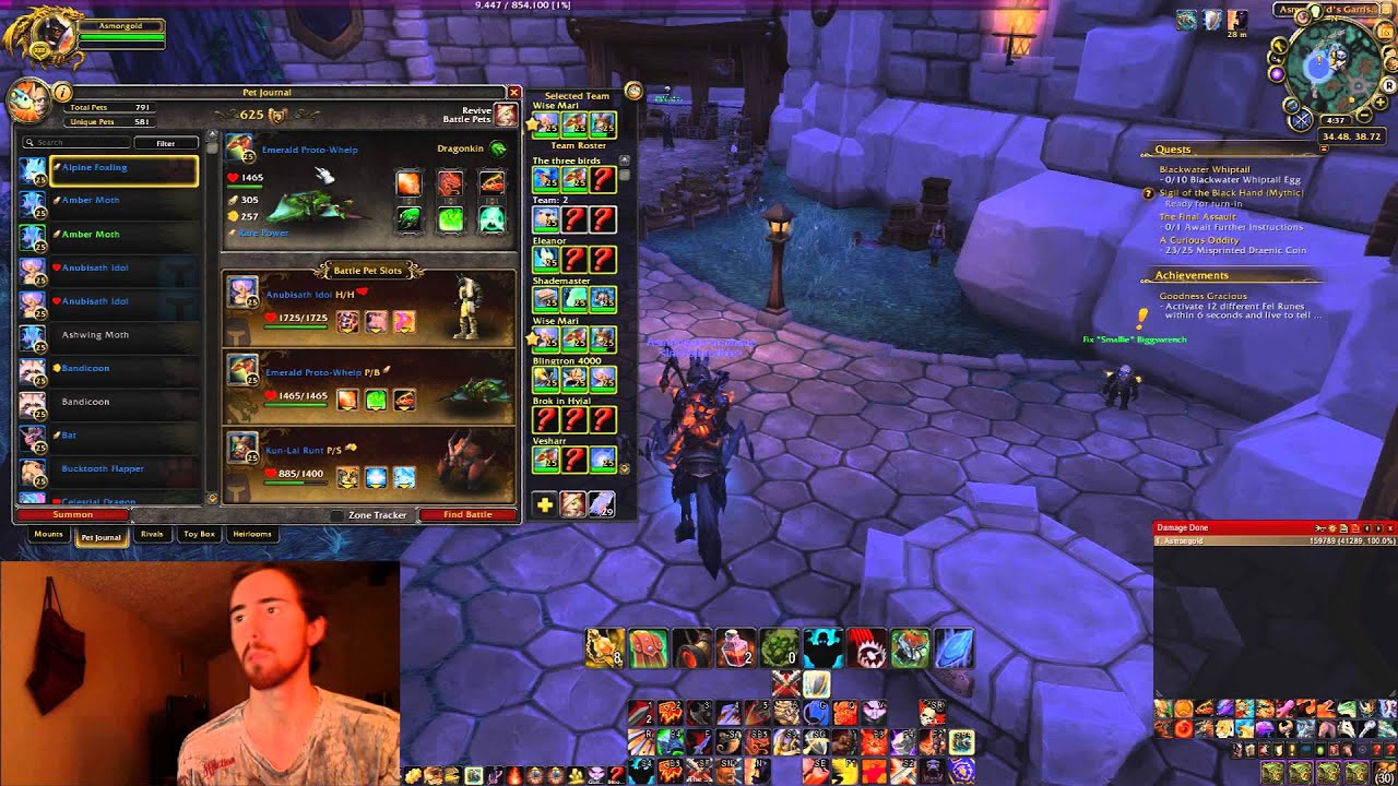My Top 5 Best Battle Pets for Beginners