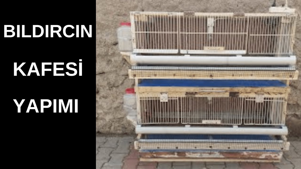 Bıldırcın Kafesi Nasıl Yapılır.Ucuz ve Pratik Çözüm.Bıldırcın Kafesi Yapımı.Quail Cage Making.( DIY
