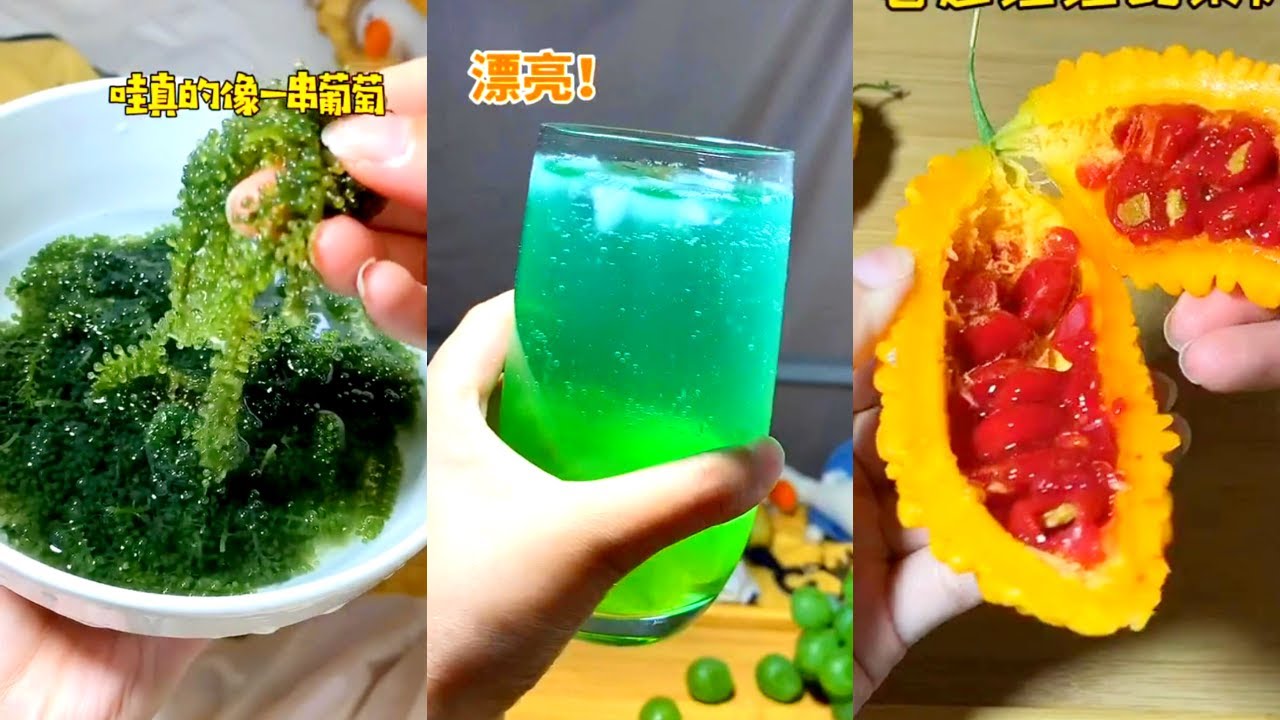 「团团今天吃什么」干啥啥不行！干饭第一名！❤ 02