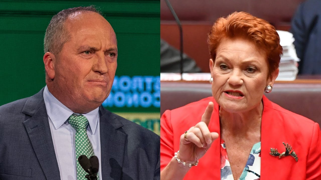 Pauline Hanson has ‘made an offer’ to Barnaby Joyce, but he is ‘not going to be leader’