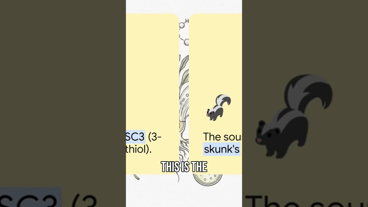 Skunk Spray Molecule Found in Food?! Mind-Blowing Discovery! #shorts