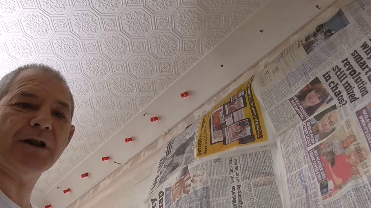 Плесень на своде и утеплителе?