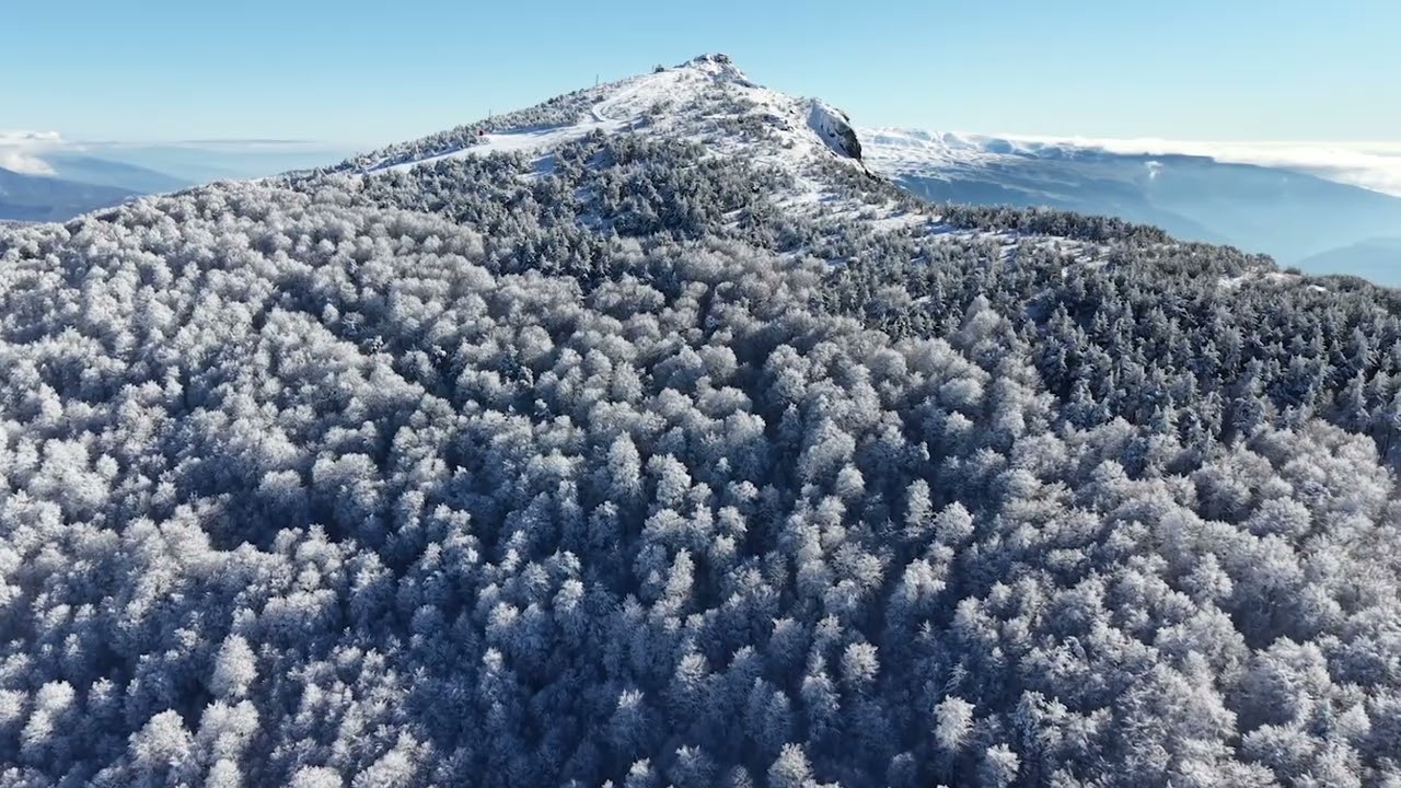 Above the Clouds: Powder Snow at 1846m