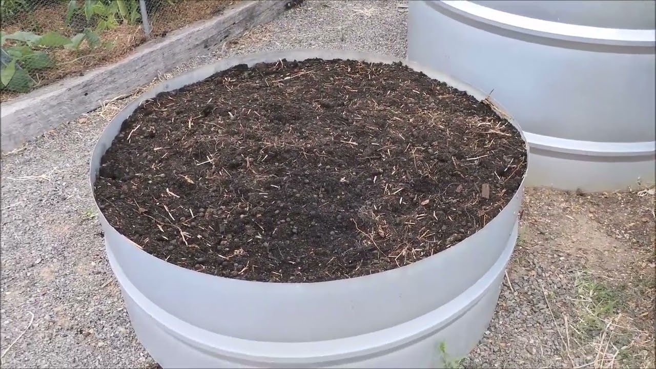 The Big Potato Harvest (for an amateur)