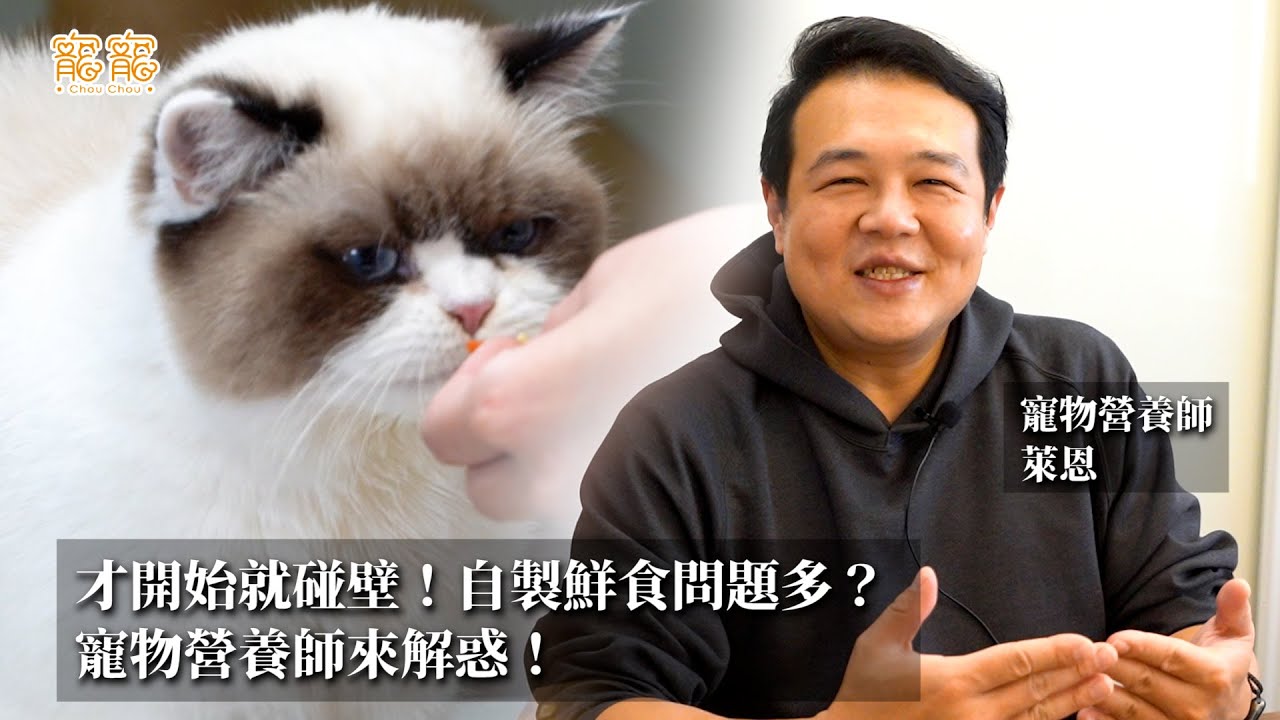 ＂自製鮮食＂問題多！到底該注意些什麼呢？寵物營養師來解惑