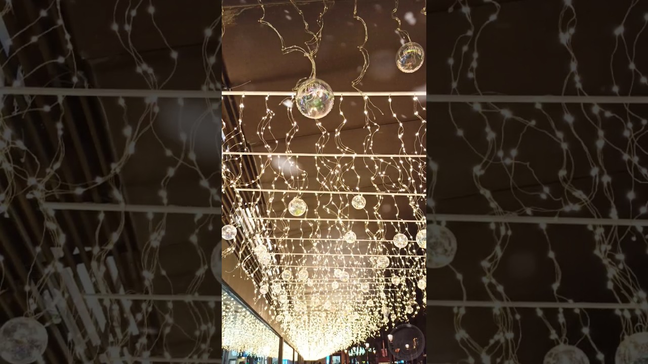 ¡Bon Nadal! ¡Feliz Navidad! Merry Christmas!