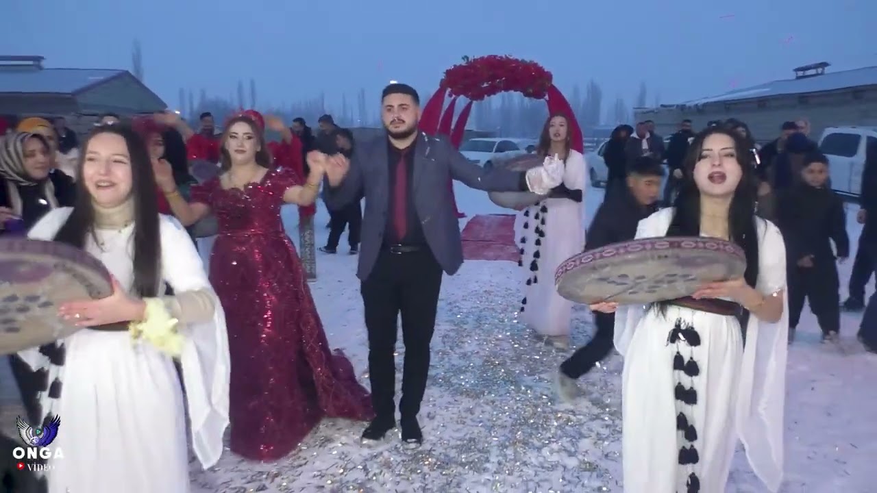 Kader Berşan kına gecesi  kolikent köyü