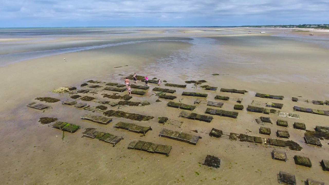 Brewster, Cape Cod Flats at Low Tide : 4k Aerial Video