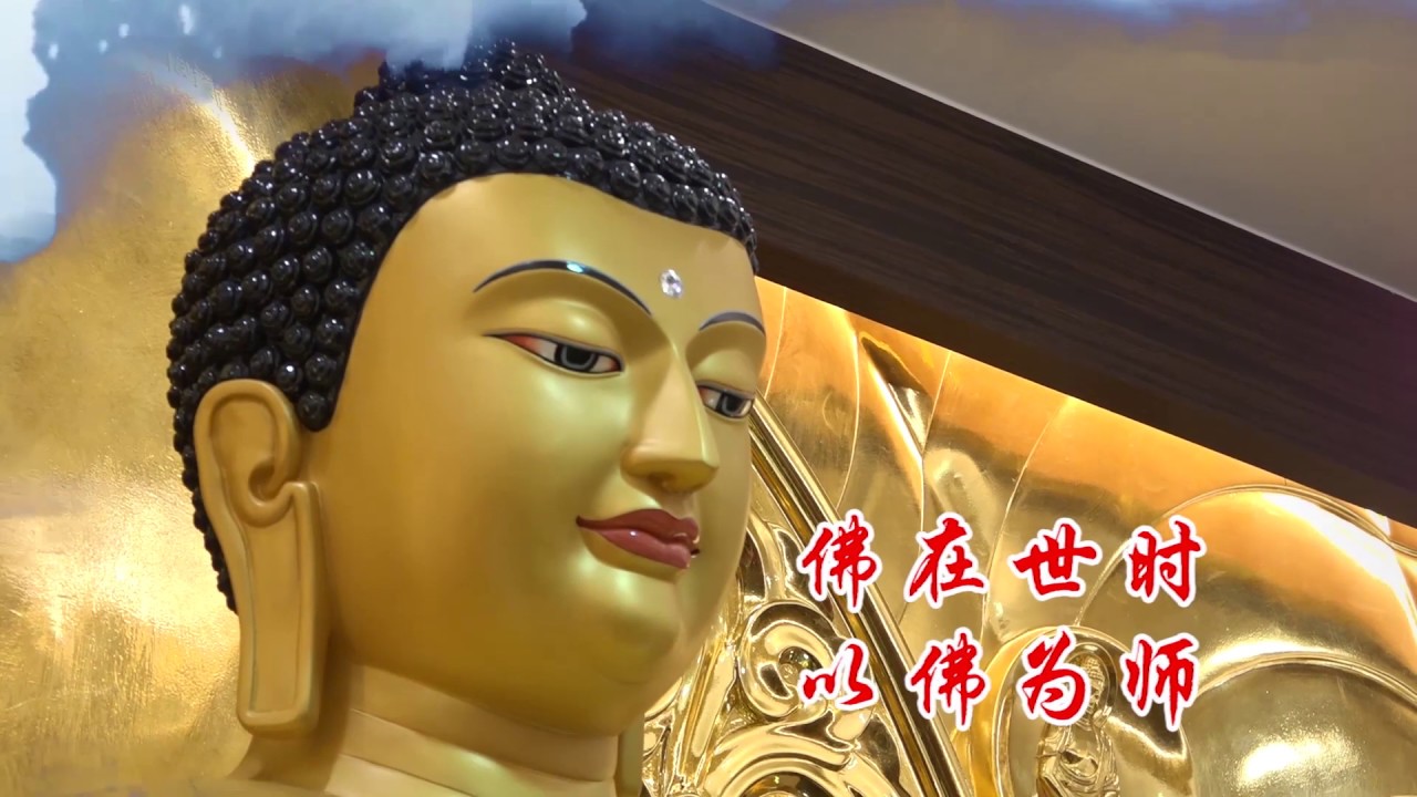 在家菩薩戒．釋二十八輕戒 (下集) 功德山 寬如法師 DVD