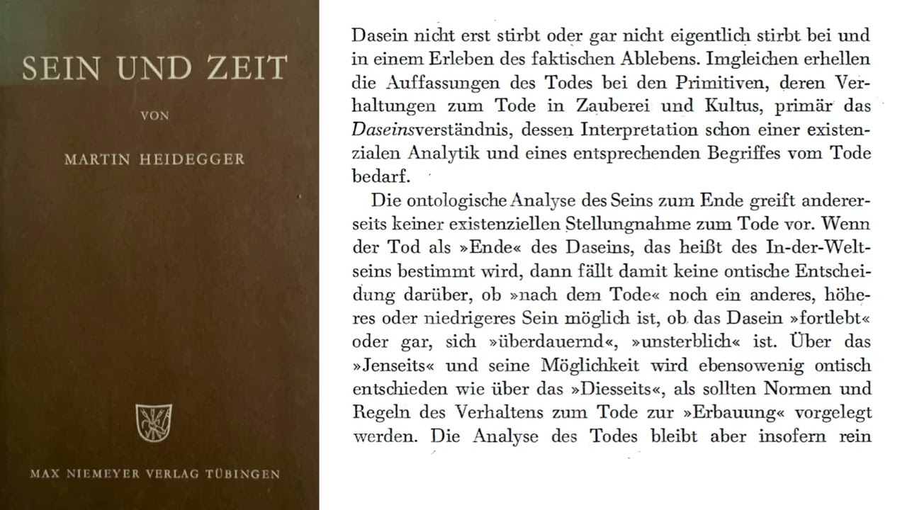 Heidegger | SEIN UND ZEIT | II. Abschnitt: Kapitel 1  | § 49