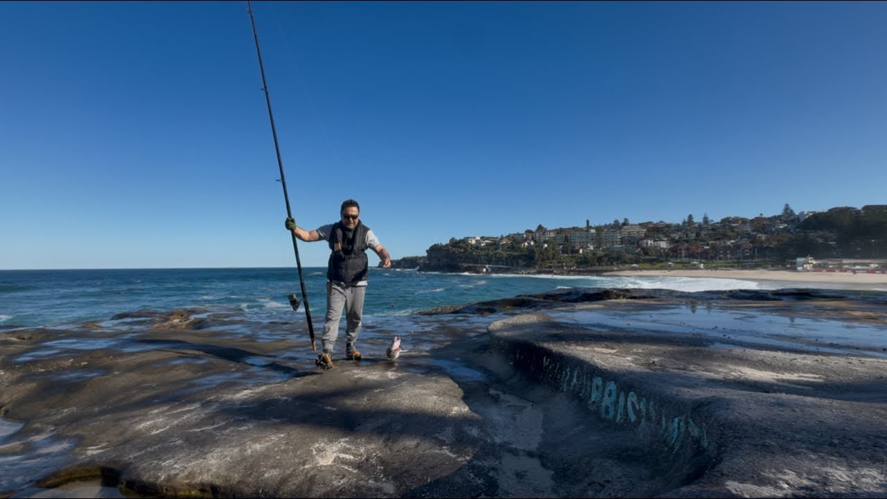 Sydney rock fishing ￼
