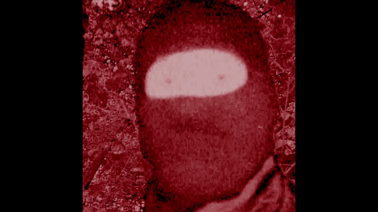 hominis nocturnae