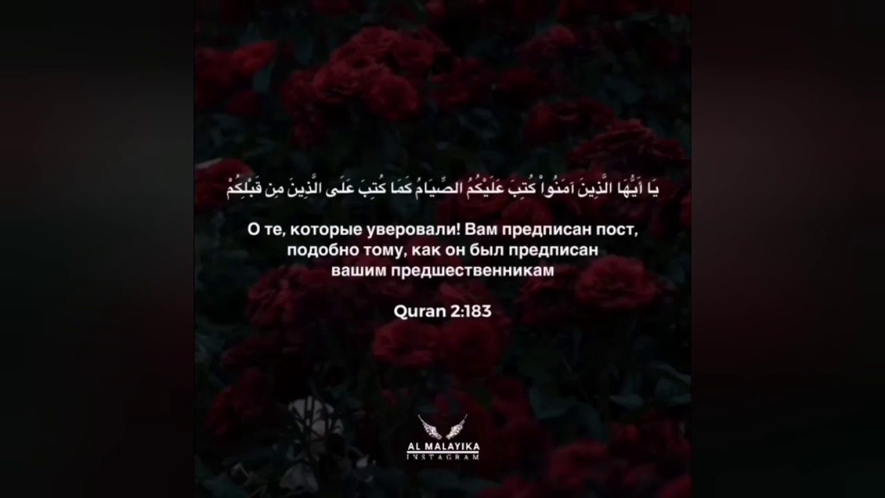 ОЧЕНЬ КРАСИВОЕ ЧТЕНИЕ КОРАНА QURAN 2020