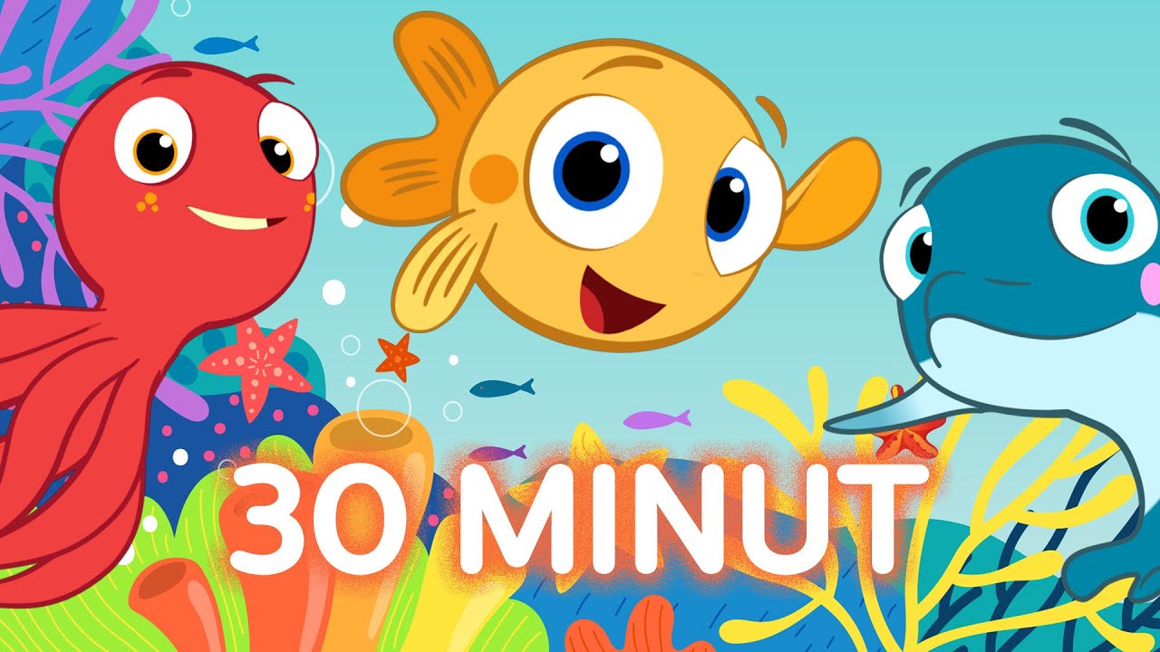 30 MINUT Z Rybką MiniMini i przyjaci&oacute;łmi | MARATON ODCINK&Oacute;W | MiniMini+