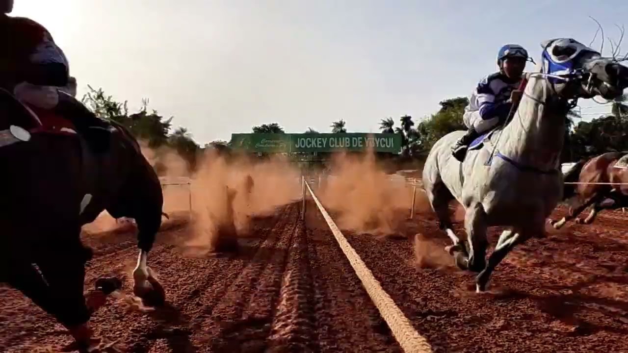 PETROLERO - GP Golden Cup - Jockey Club de Ybycui - 17/05/2025.