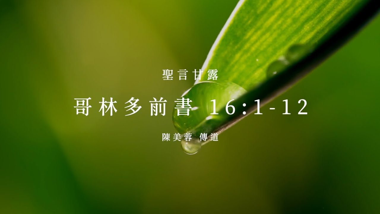 信友堂聖言甘露，2023年7月22日 哥林多前書16:1-12 陳美蓉傳道