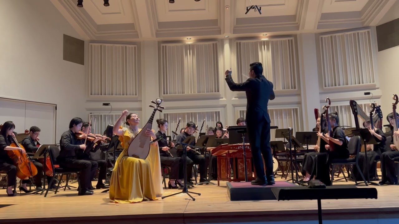 Wang Danhong 王丹红Clouds and Flowers Fantasia concerto for pipa 《云想花想》