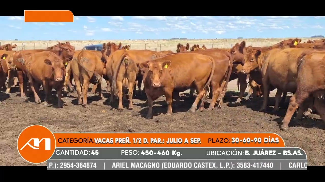 LOTE 108
