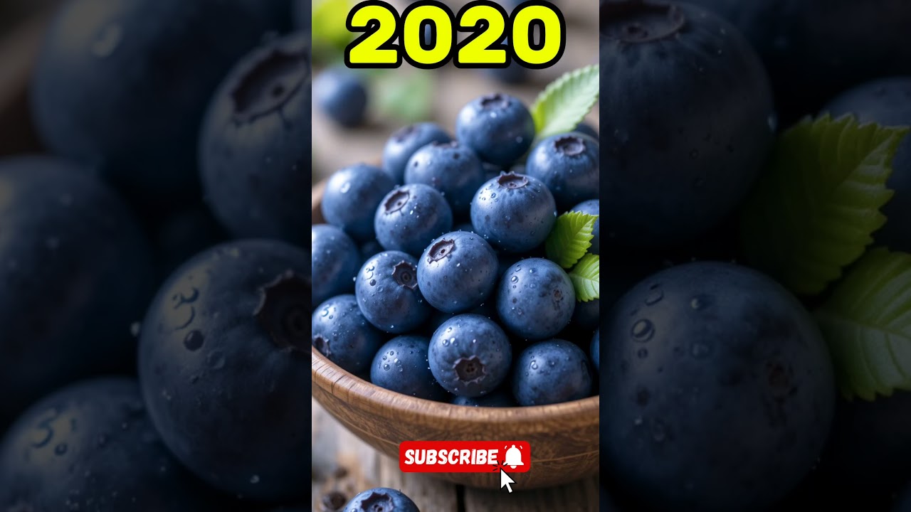 Brainrot memes 2025 vs 2020#스프런키#김프5 #brainrotanimals