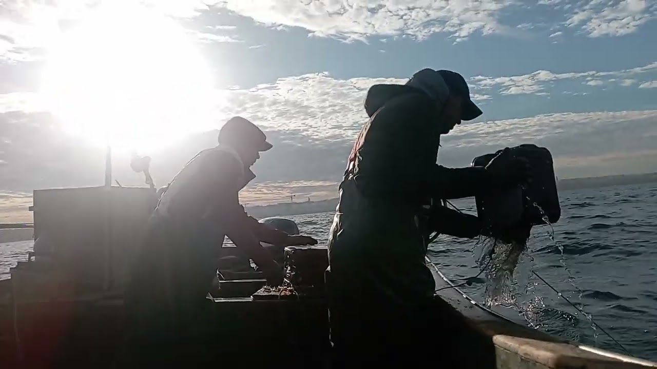 موسم الأخطبوط الشتوي 01/01/2025،⚓⚓🌊