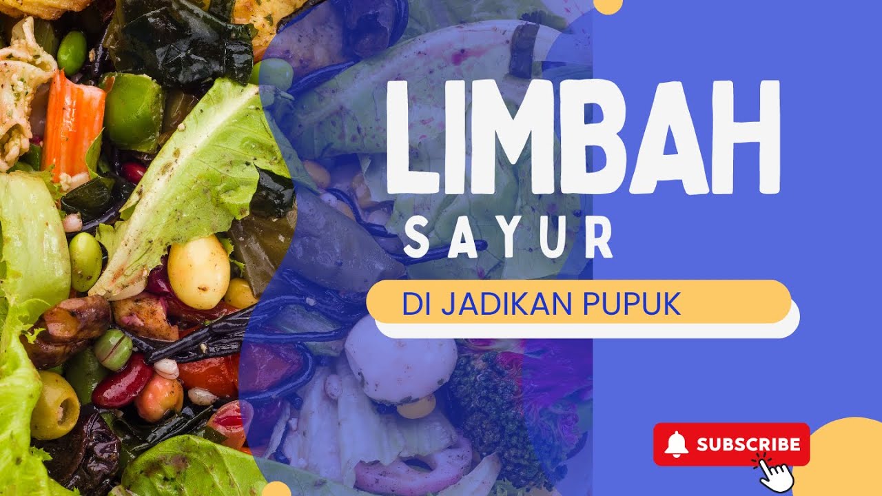 LIMBAH SAYUR DI JADIKAN PUPUK #bayudiningrat  #bayusehatmandiri #pelatihanbsm B4