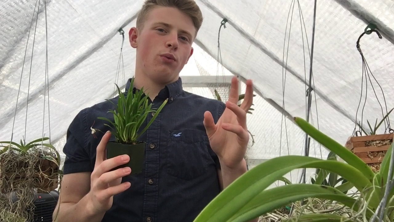A Little Gift And Bud Updates