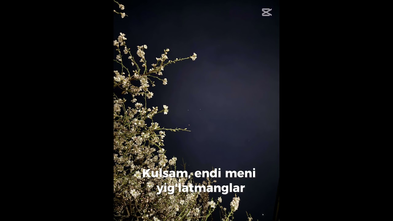 Beautiful spring at night | Uzbek song with lyrics | short