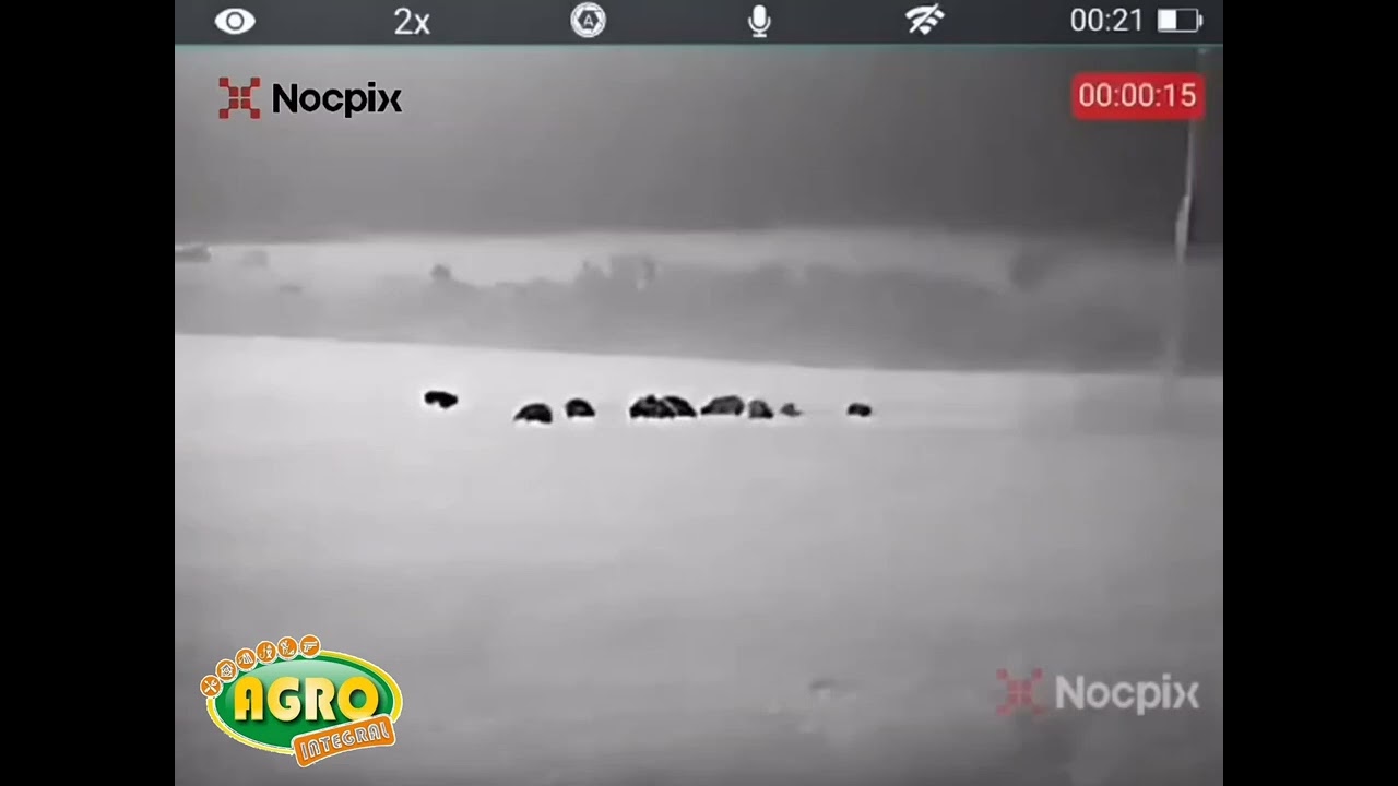 NOCPIX P13 @AgroIntegral