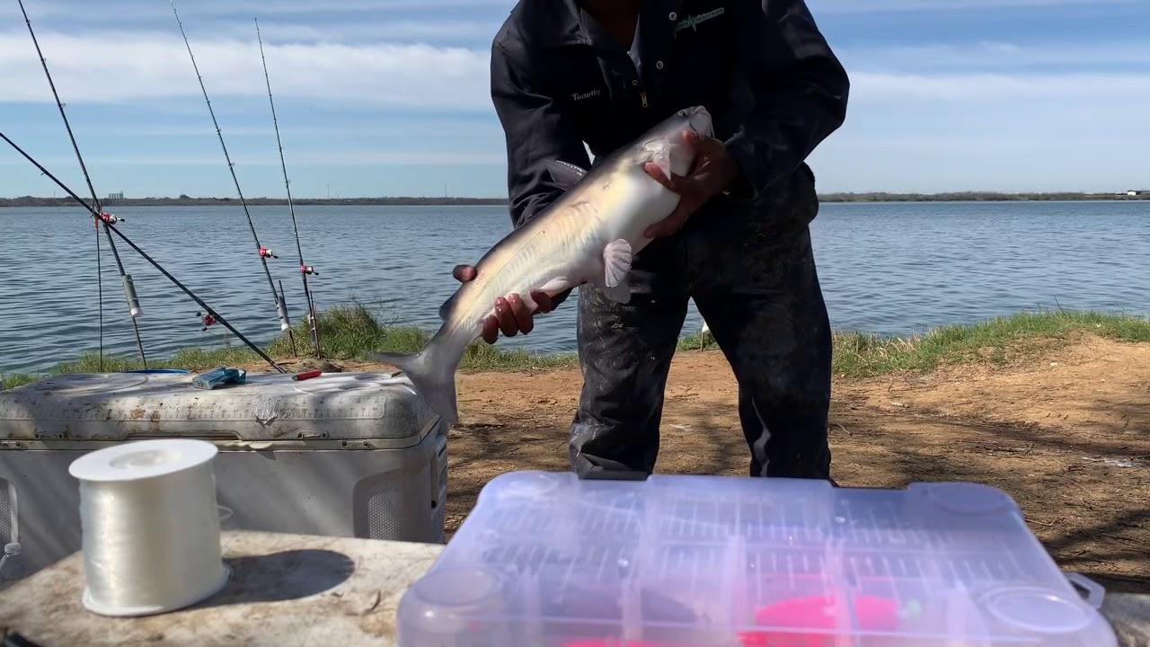 Catching Catfish From Bank Winter Tips Calaveras