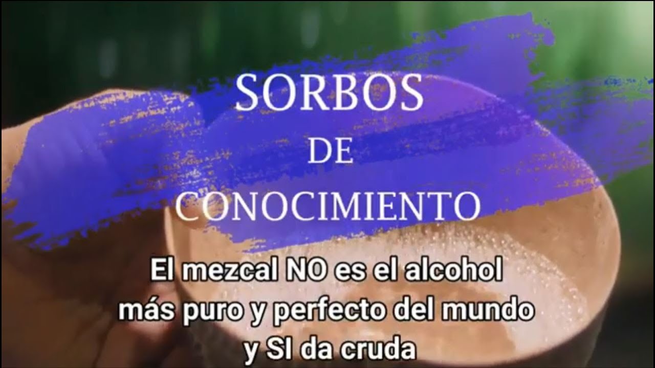 El mezcal NO es el alcohol más puro y perfecto del mundo y SI da cruda - Sorbos de conocimiento