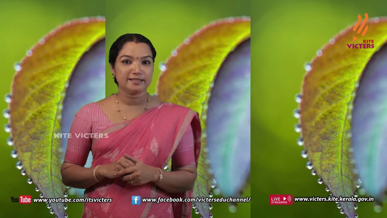 KITE VICTERS STD 08 Chemistry Class 21 (First Bell-ഫസ്റ്റ് ബെല്‍)