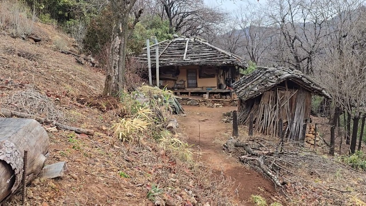 굴피집 어르신 오셔도 지붕재료 못구해 수리불가  결국은  전설로ᆢ?