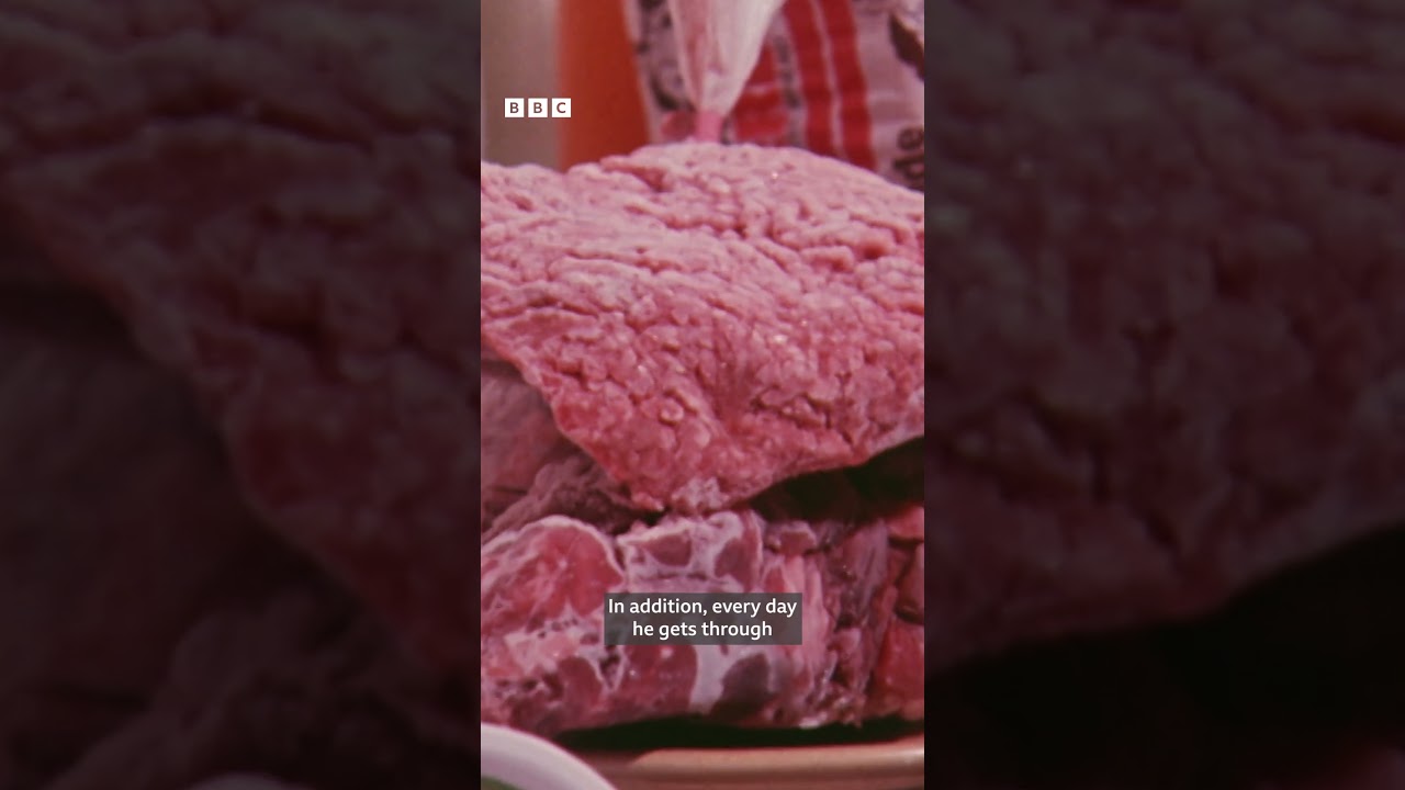 1976: GEOFF CAPES and his MOUNTAINOUS DAILY MENU | BBC Archive
