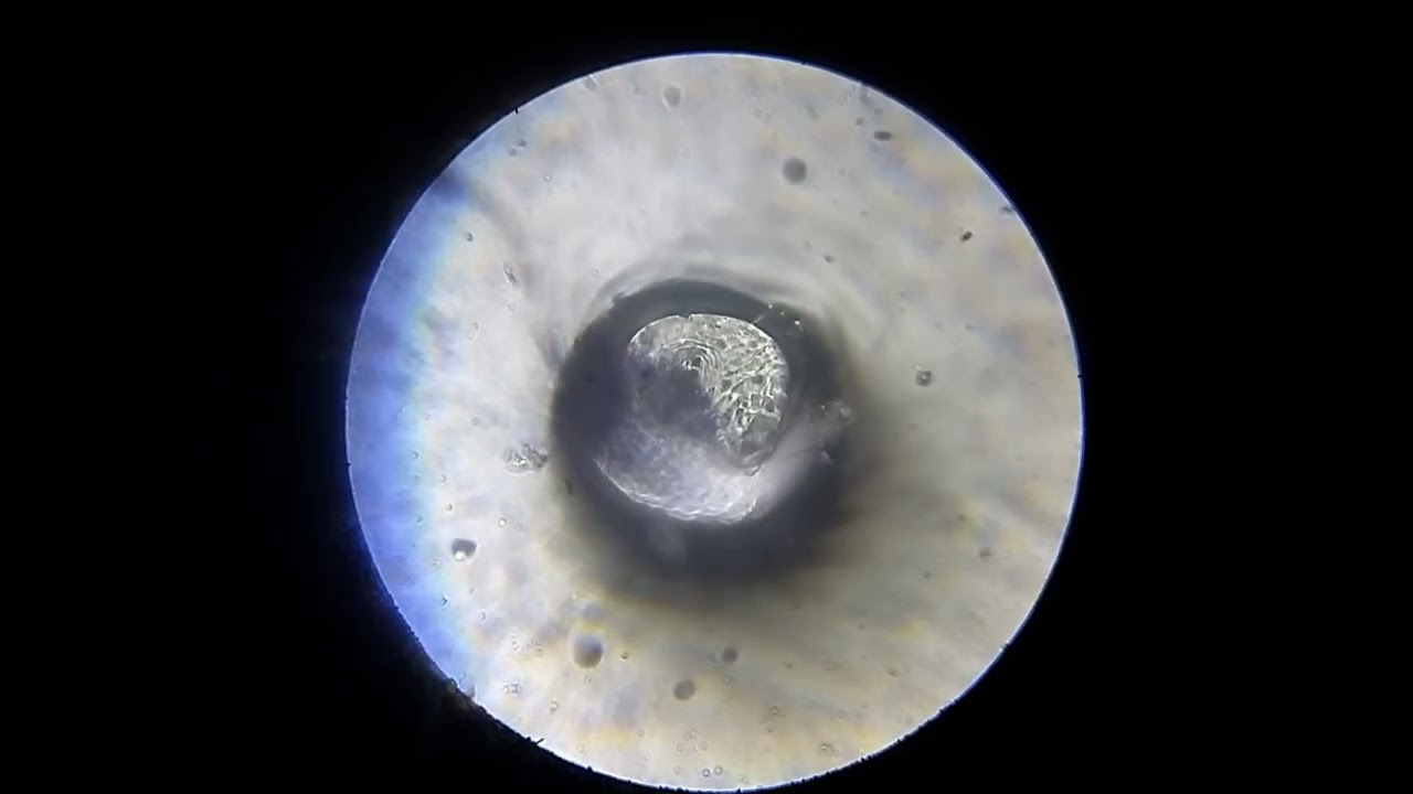 The process of salt dissolution under a microscope