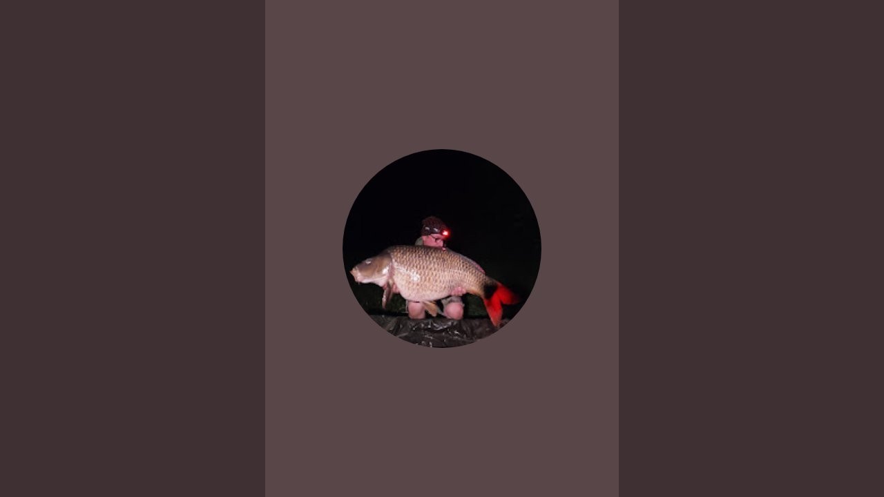 pêche à la carpe