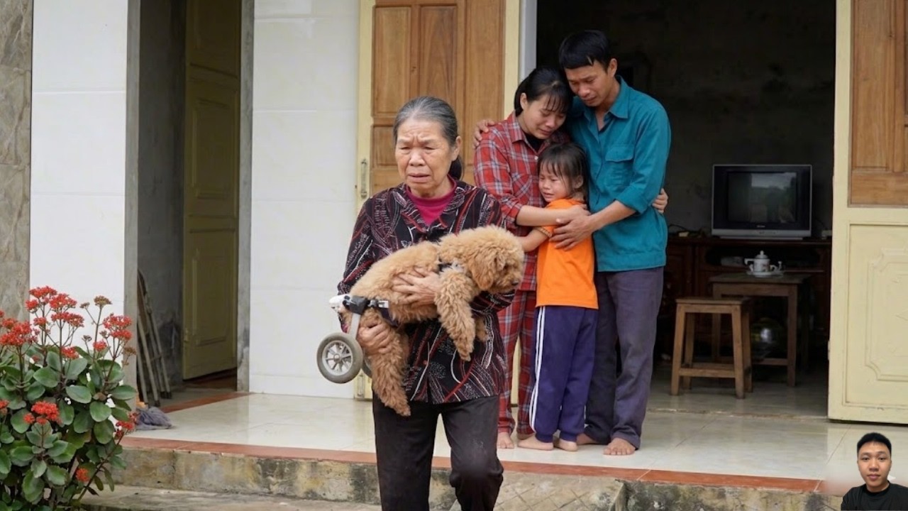 Beloved Dog Bibi Vanishes After Ex Mother in Law&rsquo;s Shocking Act &ndash; Maya Left Crying #lifesingle